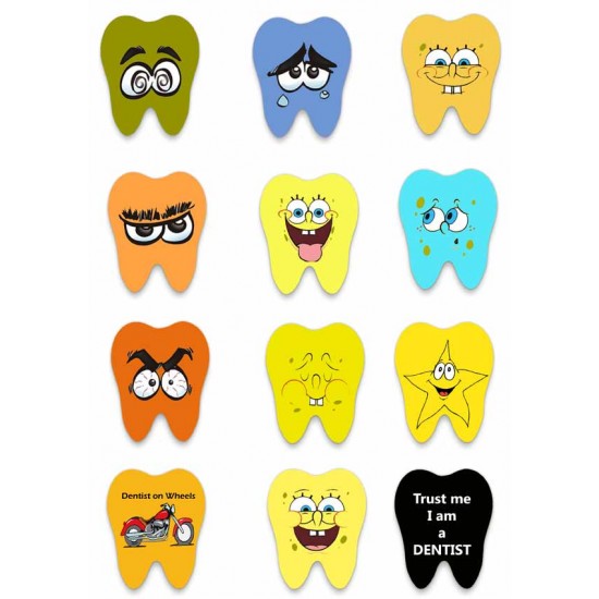 Assorted Pack of 3 Dental Key Chains
